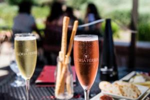 第三届西林篮球联赛盛装启幕，激情四溢共谱体育盛事第三届西林篮球联赛