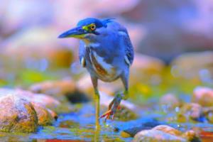 濮阳县篮球联赛场地图，一场运动的热土濮阳县篮球联赛场地图