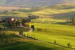东莞市篮球联赛，茶山 vs 石碣东莞市篮球联赛茶山vs石碣
